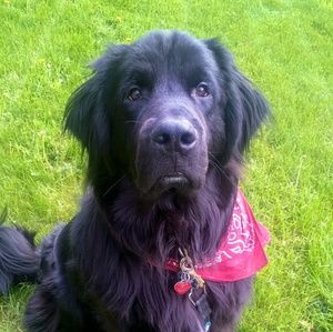 Meet your Posher, Christine